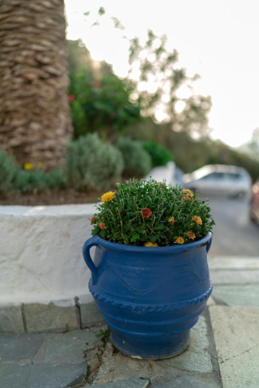 Plakias Bay Hotel エクステリア 写真