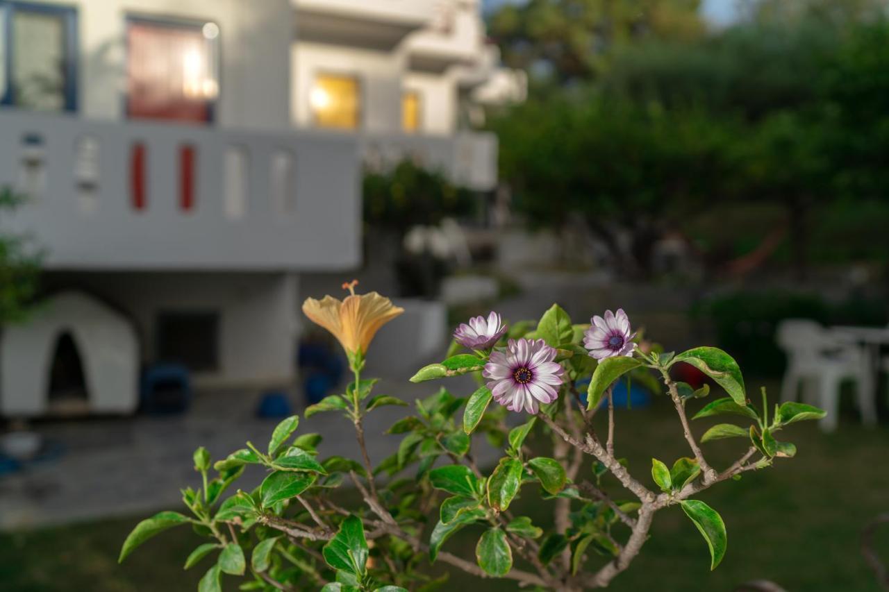 Plakias Bay Hotel エクステリア 写真